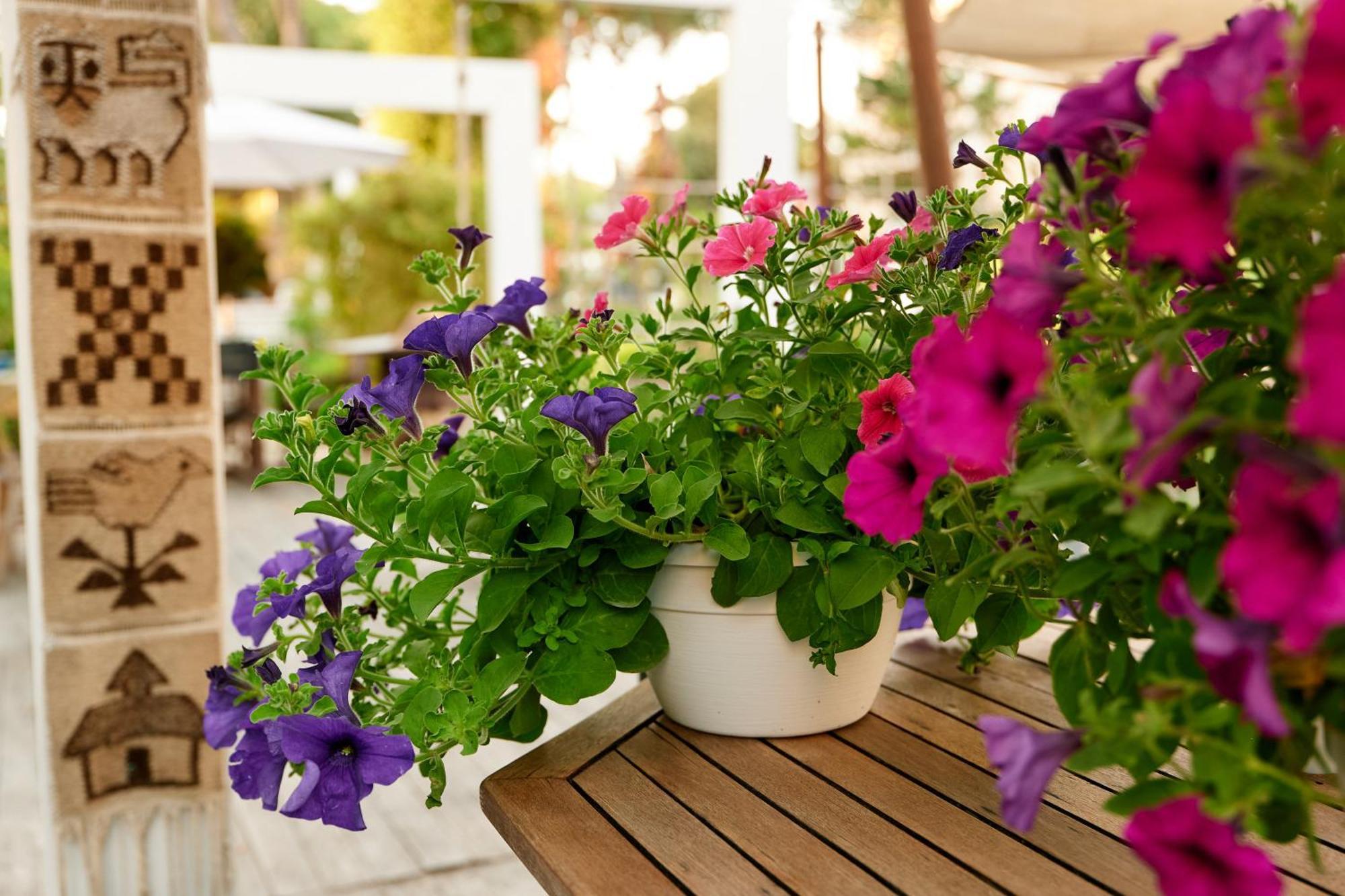 Hotel Saraceno Resort With Private Beach Milano Marittima Exterior photo